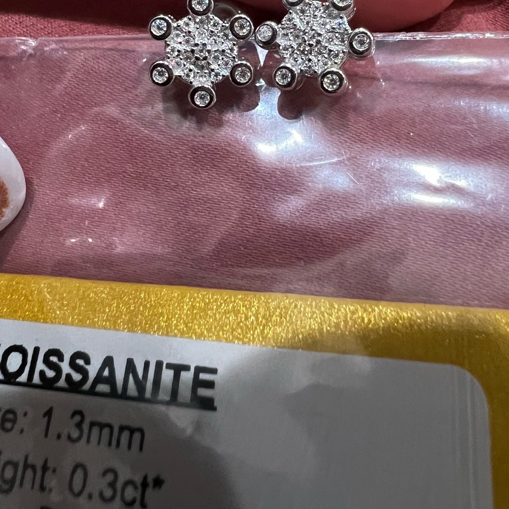 *Nwt* Elegant Silver Moissanite Stud Earrings
